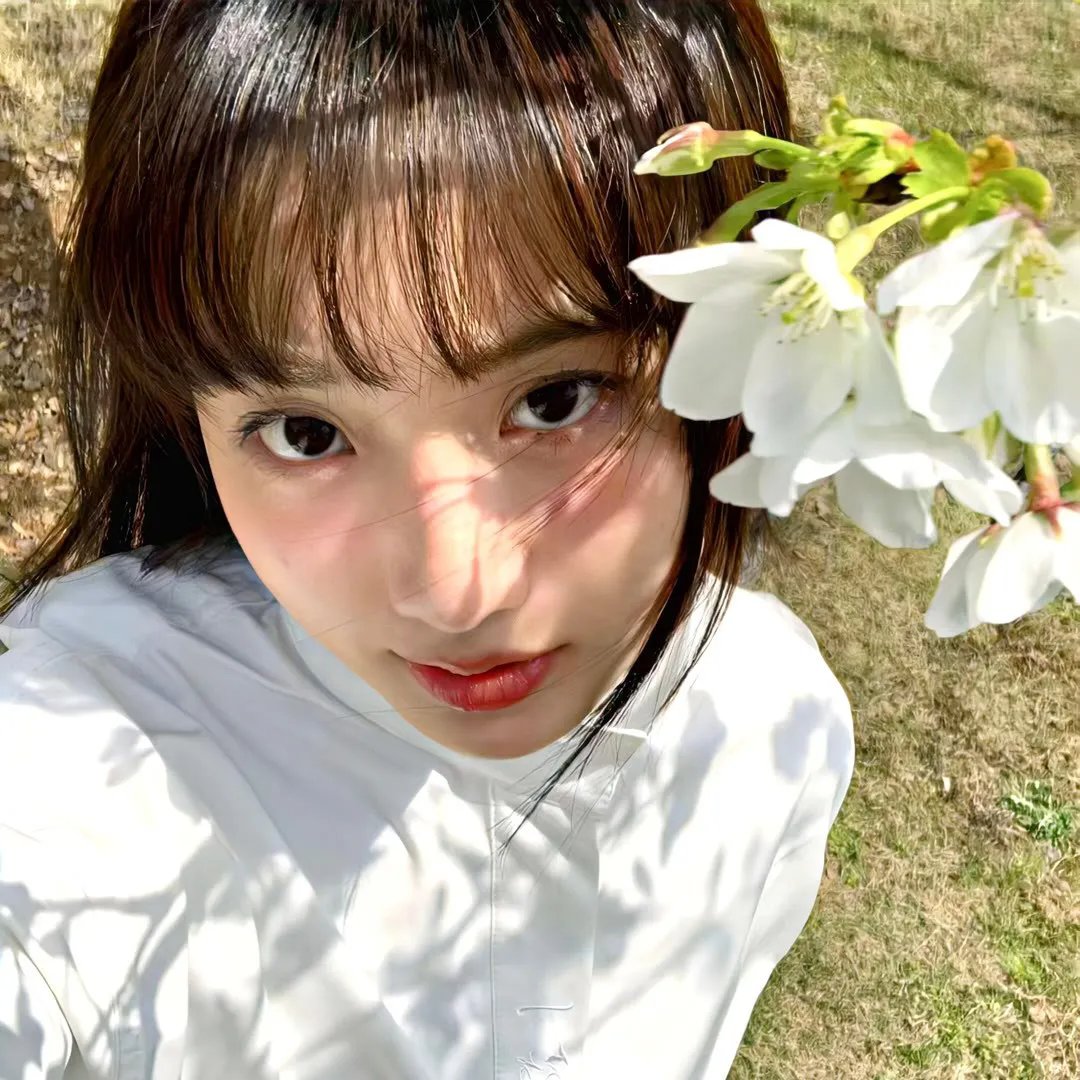 美人镖局